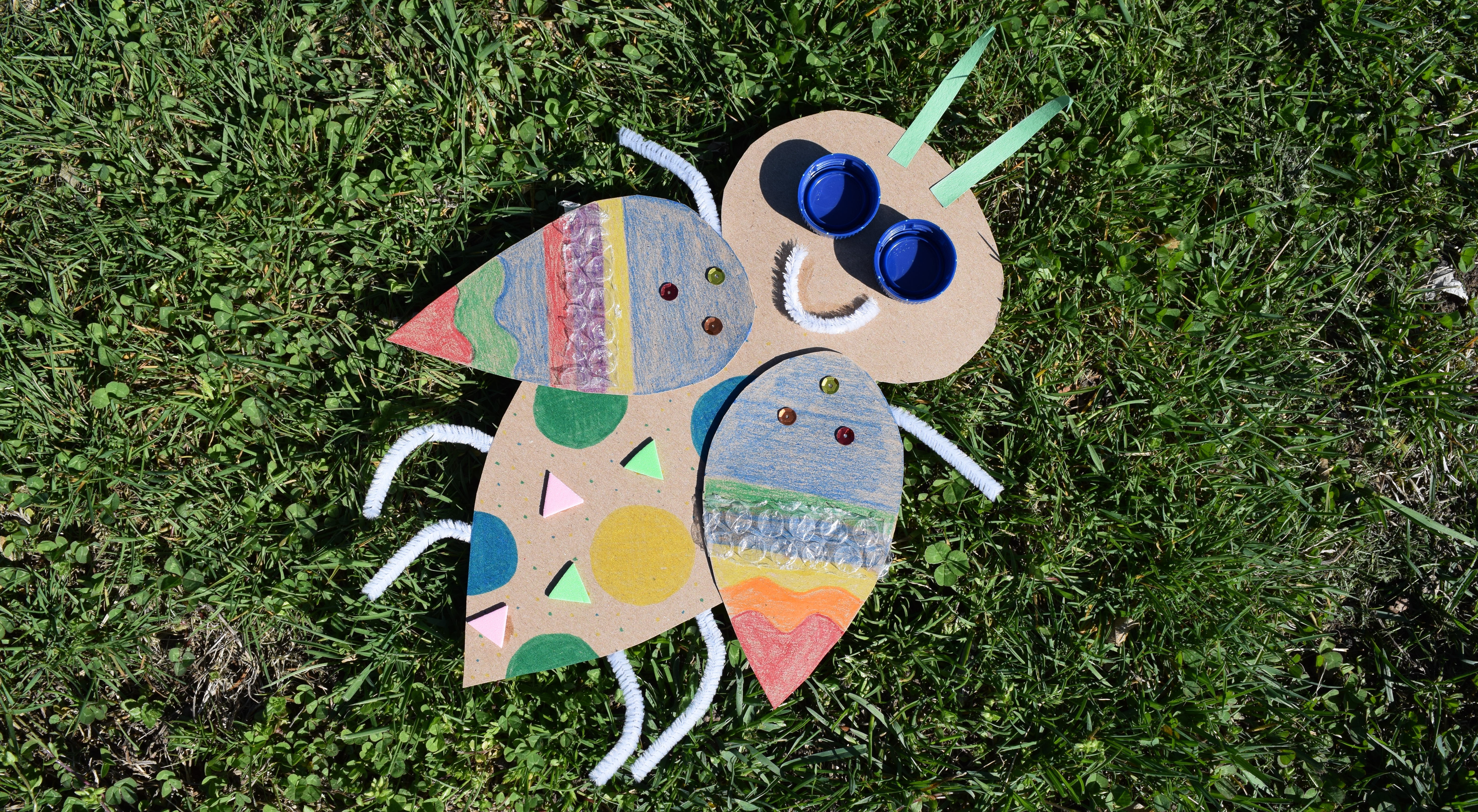 recycled materials bug project sitting on the grass
