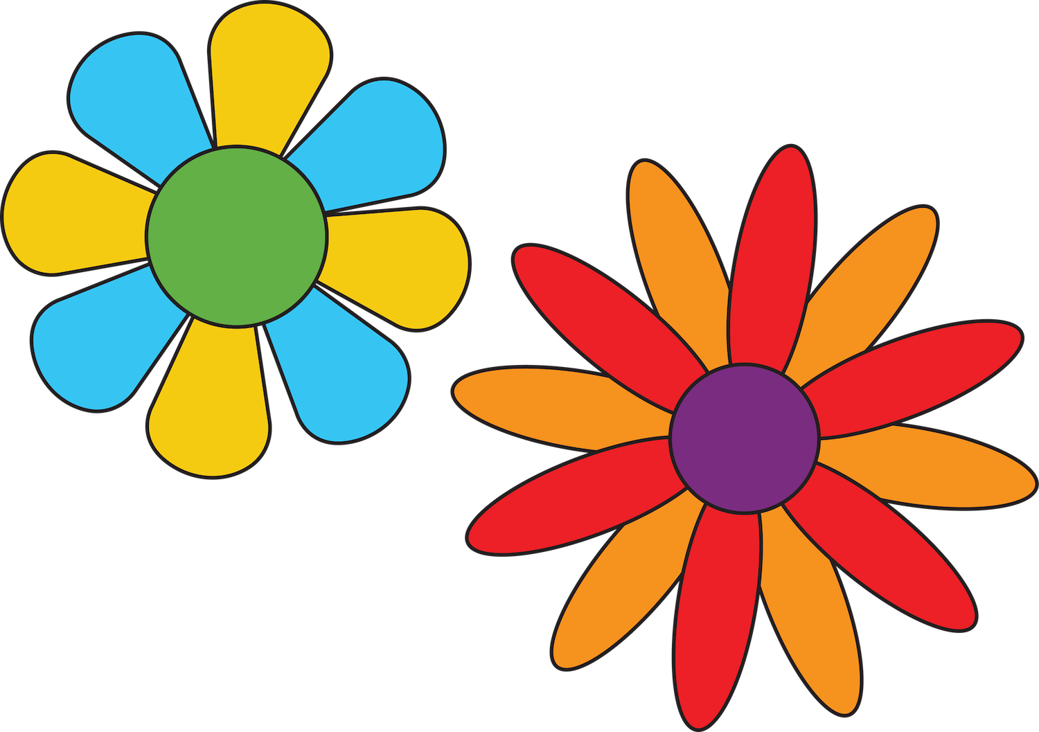 Two colorful flowers on a clear background.