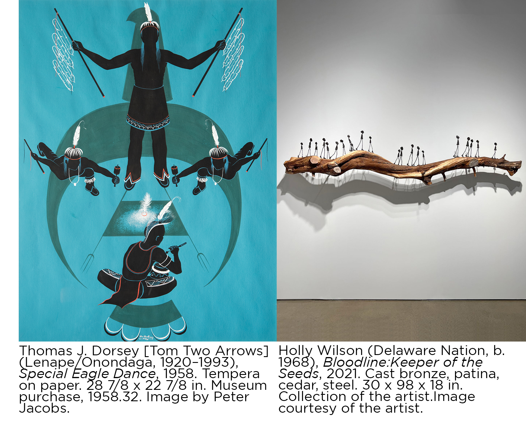 Collage of Thomas J. Dorsey [Tom Two Arrows] (Lenape/Onondaga,  1920–1993), Special Eagle Dance, 1958. Tempera on paper.  28 7/8 x 22 7/8 in. Museum purchase, 1958.32. Image by  Peter Jacobs. (left) and Holly Wilson (Delaware Nation, b. 1968), Bloodline: Keeper of  the Seeds, 2021. Cast bronze, patina, cedar, steel. 30 x 98 x 18  in. Collection of the artist. Image courtesy of the artist. (right)