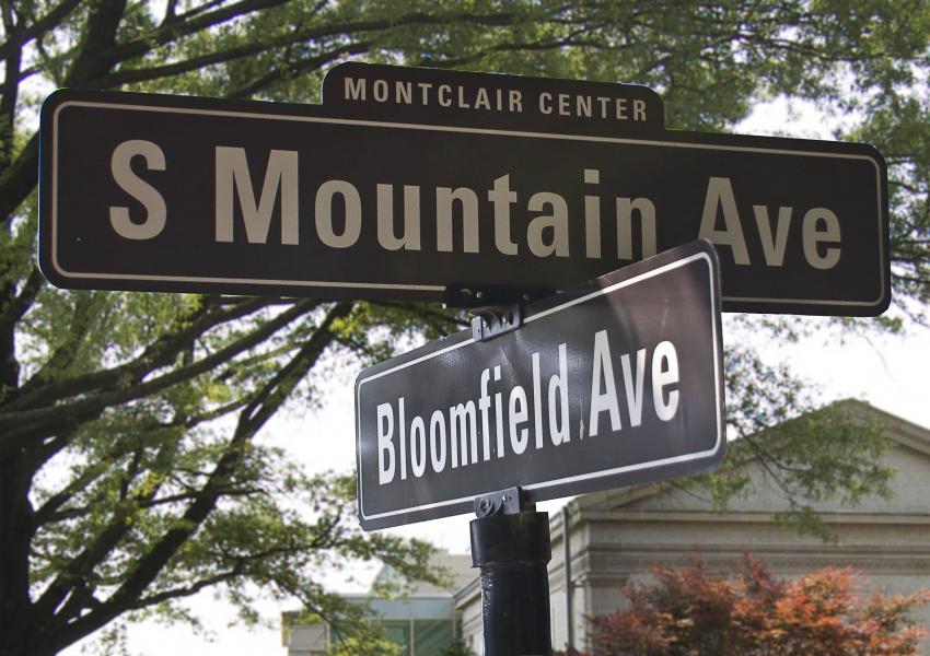 Street Sign for South Mountain Avenue