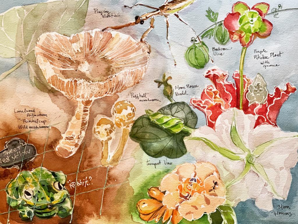 An example of a watercolor project by Karen Deluca.